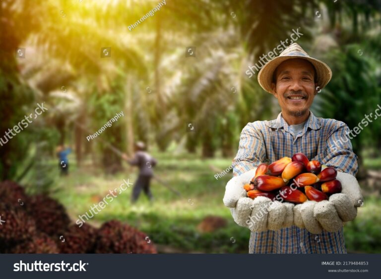 What are Oil seeds: Types, Cultivation, Processing and Uses - FARMIOO